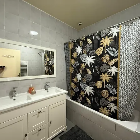 Face A La Gare - 3 * 罗阿纳